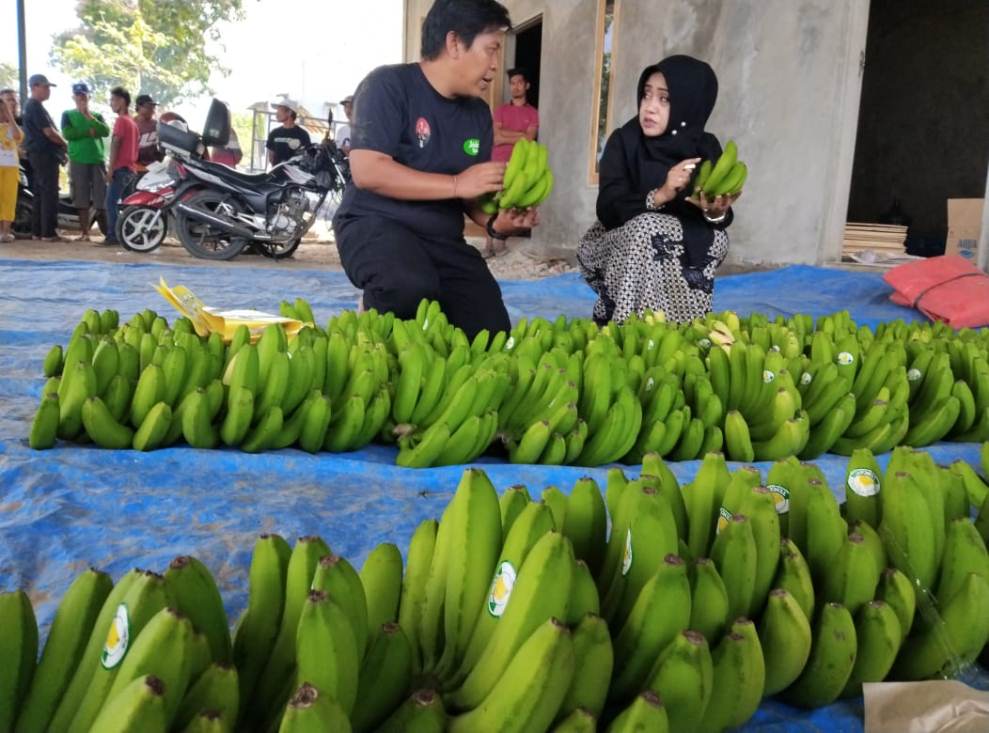 POTENSI BARU: Cabup paslon nomor urut 1 Ikfina Fahmawati menangkap peluang ekonomi baru di tengah masyarakat Desa Gading, Kecamatan Jatirejo.