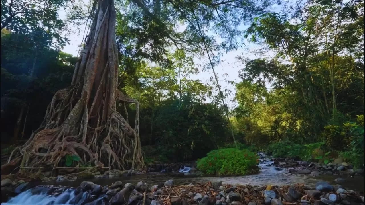 SUMBER DAYA ALAM: Wisata Akar Seribu jadi salah satu wisata ikonik yang ada di Desa Begaganlimo yang sampai kini terus dikembangkan.