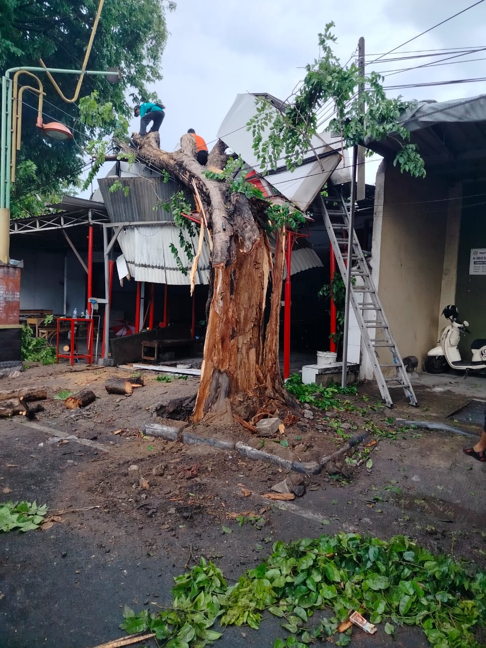 PENANGANAN: Petugas BPBD gabungan mengevakuasi pohon tumbang yang menimpa warung di tepi Jalan Raya Gajah Mada sekitar Pasar Legi Mojosari, kemarin (30/11).