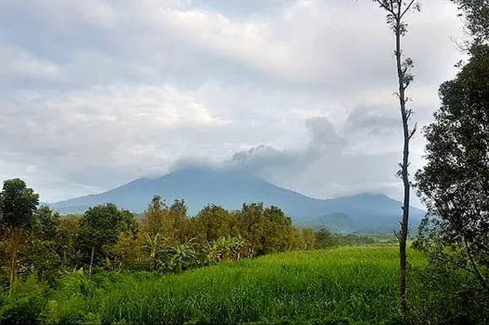 Erupsi Gunung Raung menyebabkan 4 kecamatan berpotensi terkena erupsi.