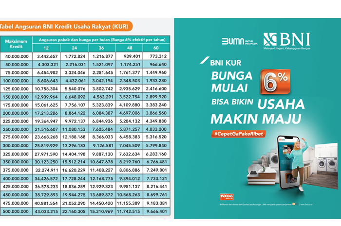 Ilustrasi dari platform KUR BNI 2025.