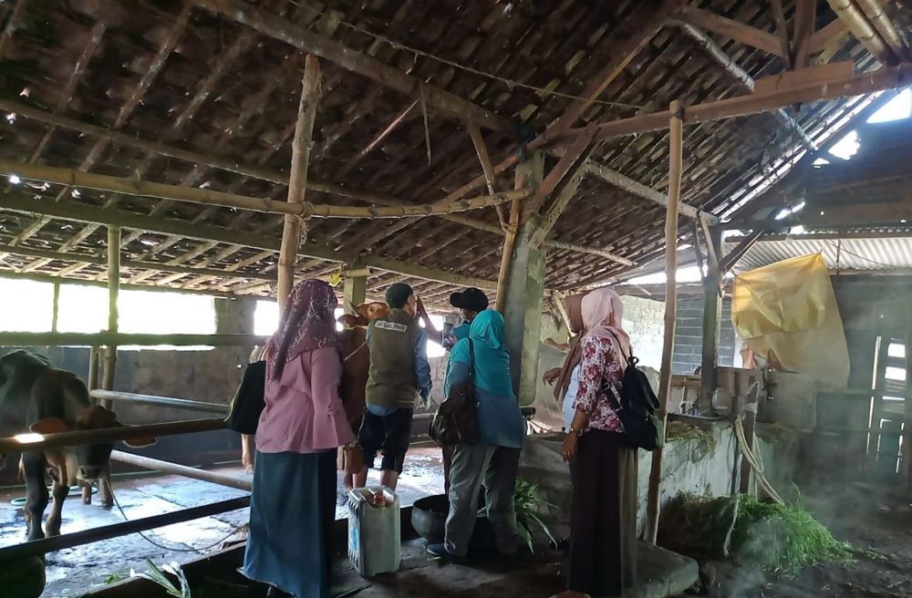 CEGAH PENULARAN: Petugas Disperta Kabupaten Mojokerto memberi pelayanan kesehatan hewan pada sapi milik peternak di Desa Madureso, Kecamatan Dawarblandong, Jumat (27/12).