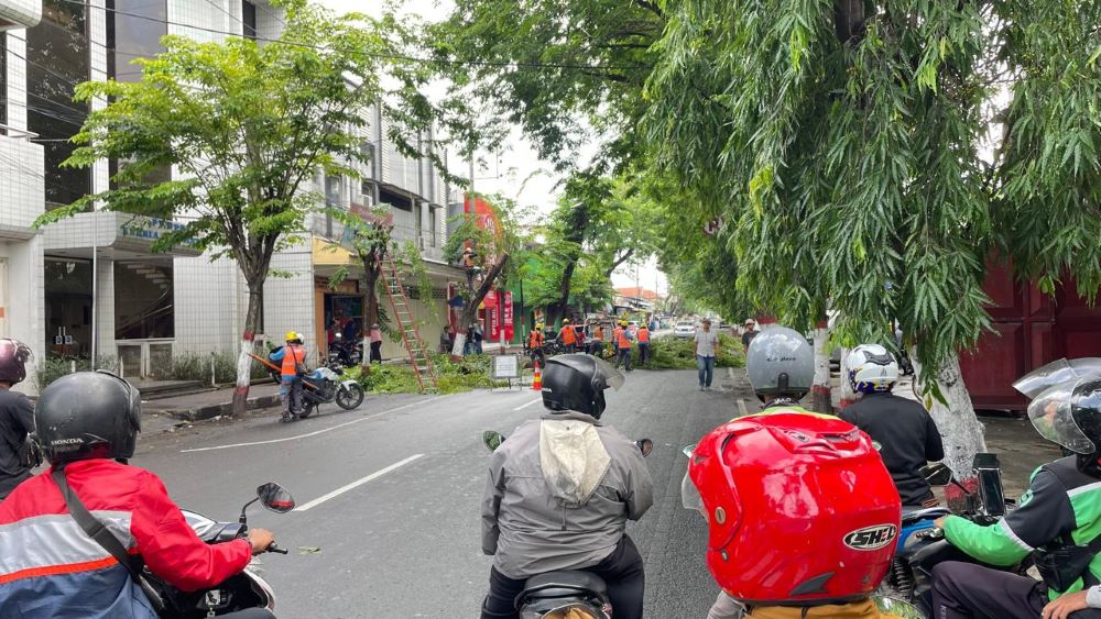 ANTISIPATIF: Petugas PLN sedang memangkas dahan pohon di Jalan Mojopahit, Kecamatan Kranggan, Kota Mojokerto, kemarin (8/1).