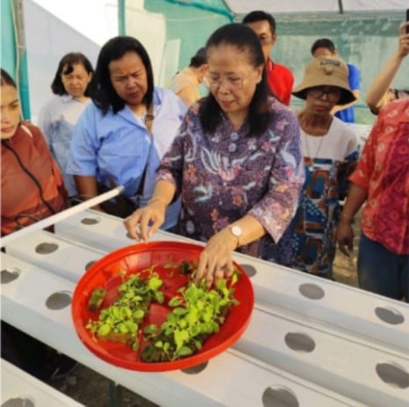 PEMBERDAYAAN: Penyuluhan teknik hidroponik oleh dosen dari Universitas Airlangga.