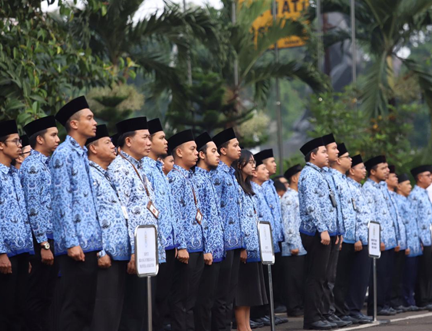 Program SPPI Batch 3 Dibuka hingga 15 Maret 2025, Berikut Tugas dan Gaji yang Akan Diterima