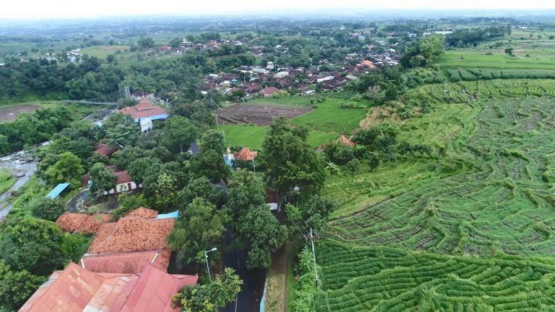 POTENSIAL: Keasrian areal pertanian di Desa Padi, Kecamatan Gondang, menjadi salah satu potensi unggulan.