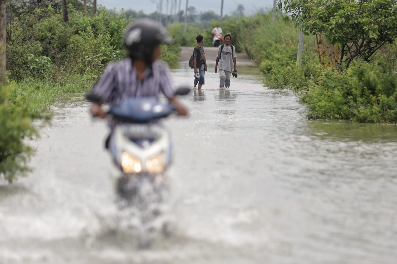 TERENDAM BANJIR: Akses jalan penghubung Desa Tempuran - Mojoranu, Kecamatan Sooko, terputus akibat banjir, Kamis (23/1).