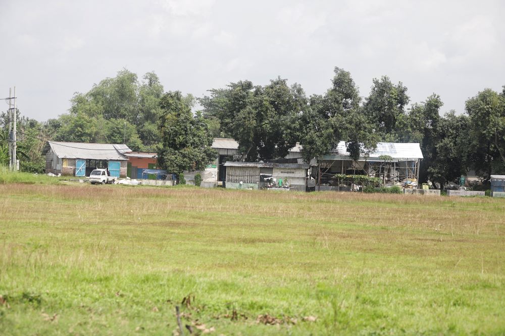 DIMANFAATKAN: Kondisi tanah kas Desa Kemantren, Kecamatan Gedeg yang akan dibangun jadi lahan TPS3R berkelanjutan.