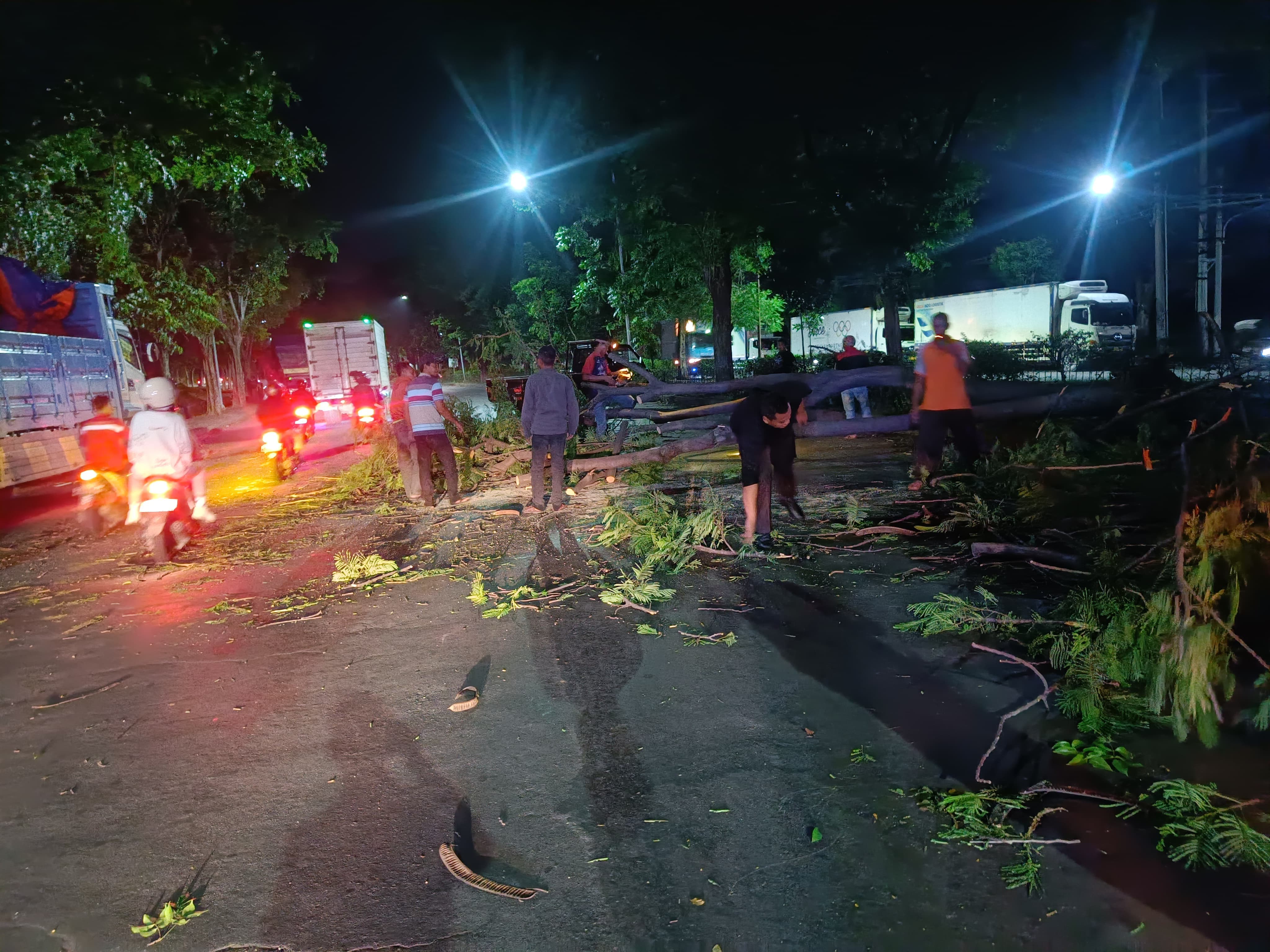 TIMPA KORBAN: Petugas melakukan penanganan pohon tumbang yang mengenai pemotor di pintu masuk Ngoro Industrial Park (NIP), Desa/Kecamatan Ngoro, Kamis (30/1) malam.