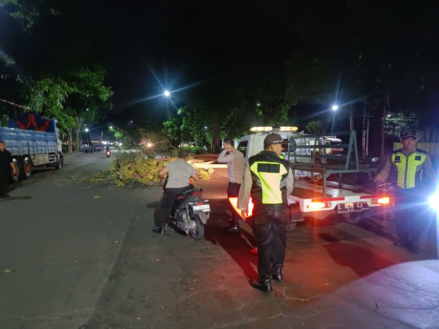 DITANGANI: Petugas melakukan penanganan pohon tumbang yang mengenai pemotor di pintu masuk Ngoro Industrial Park (NIP), Desa/Kecamatan Ngoro, Kamis (30/1) malam.