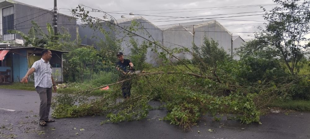 ESKTREM: Petugas BPBD Kabupaten Mojokerto mengevakuasi pohon tumbang di Jalan Raya Desa Tambakagung, Kecamatan Puri, Rabu (29/1).