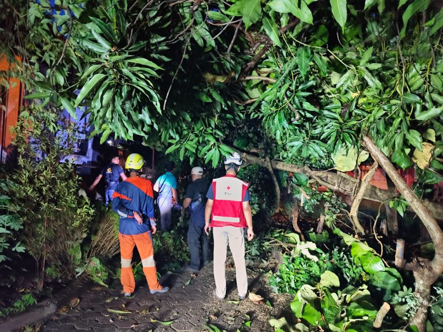 DIEVAKUASI: Petugas gabungan melakukan evakuasi pohon tumbang di Jalan Hayam Wuruk, Kota Mojokerto, Minggu (2/2) petang.