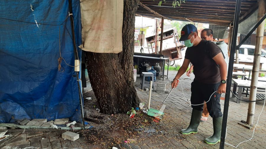 DIBERANTAS: Petugas DKPP Kota Mojokerto melakukan penyemprotan untuk membasmi ulat bulu di Jalan Surodinawan, Kecamatan Prajurit Kulon, kemarin (3/2).