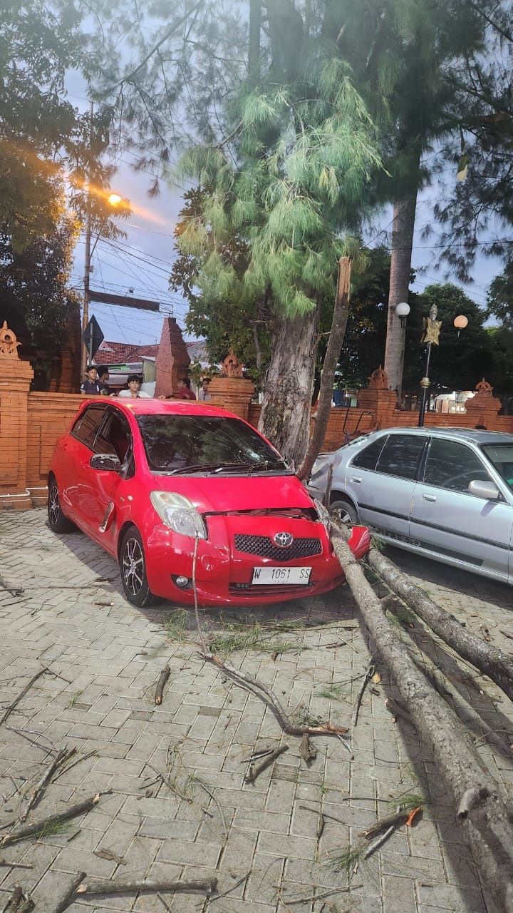 RUSAK: Relawan berupaya memotong pohon cemara yang menimpa mobil di parkir Gelora A. Yani Kota Mojokerto, kemarin (8/2).