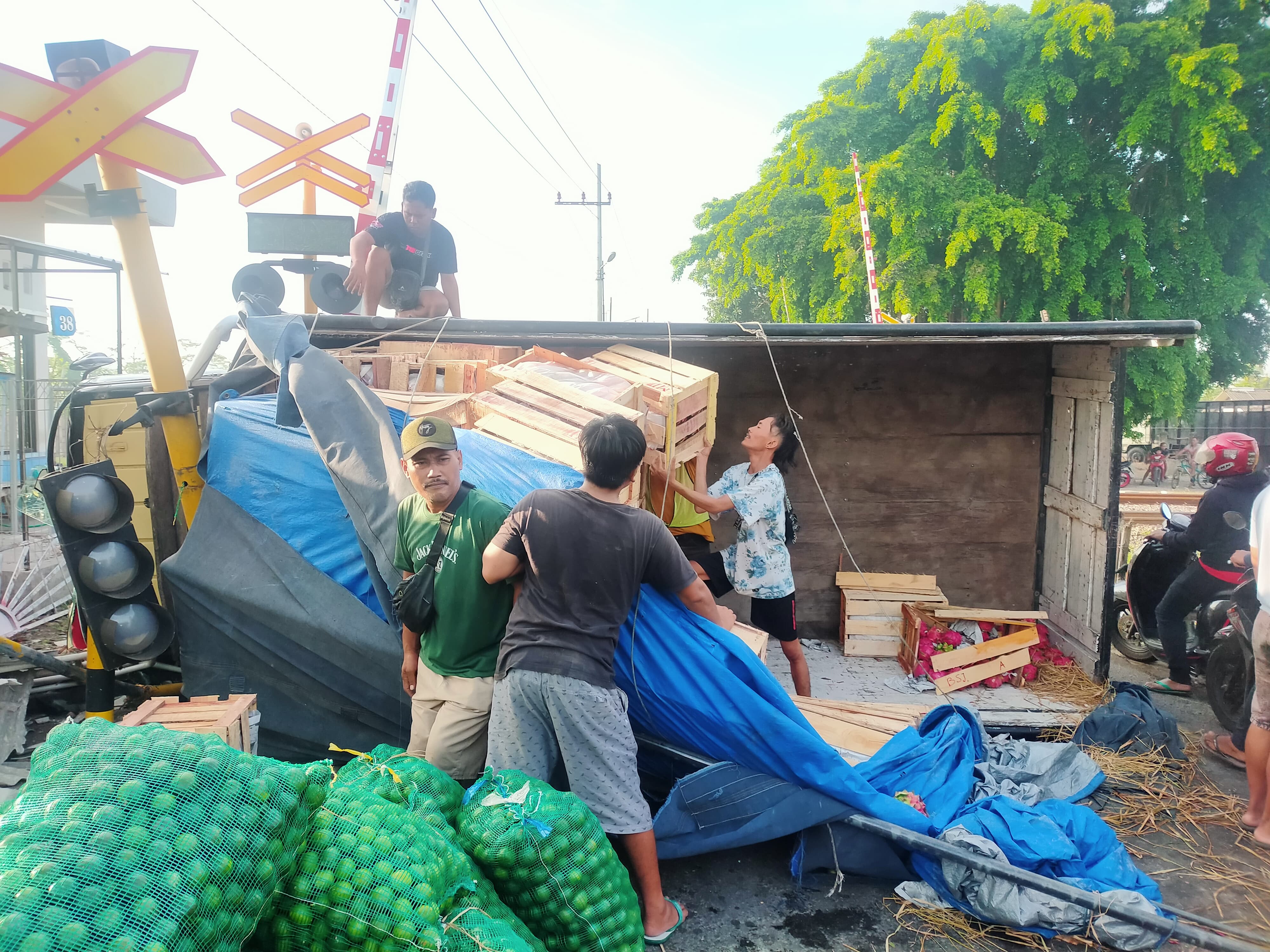 TERCECER: Warga mengevakuasi muatan jeruk dan buah naga setelah truk mengalami kecelakaan tunggal di perlintasan Damarsi, Desa Kepuhanyar, Kecamatan Mojoanyar, Kamis (13/2).