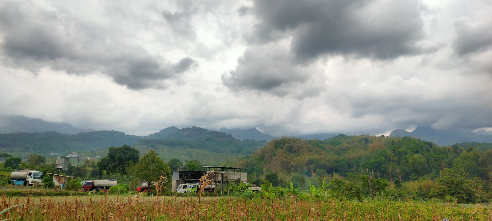 CUACA BURUK: Langit di kawasan Kecamatan Pacet, Kabupaten Mojokerto diselimuti awan hitam, kemarin. Pada masa puncak musim hujan ini masyarakat diimbau waspada bencana.