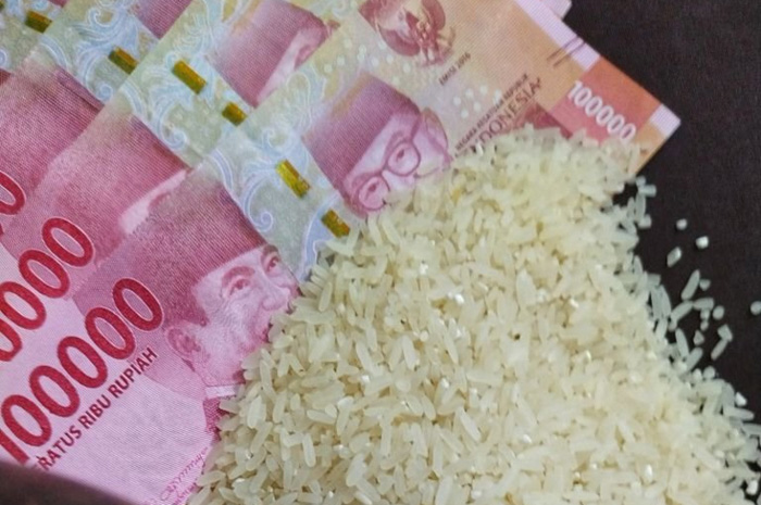 Menunaikan Rukun Islam yang Ke-3, Ini Hukum dan Syarat Mengeluarkan Zakat Fitrah