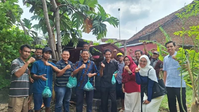PERDANA: Lurah Prajurit Kulon Muhammad Nurhadi saat memanen hasil budi daya ikan lele bersama Pokdakan Jamur Sembilan.