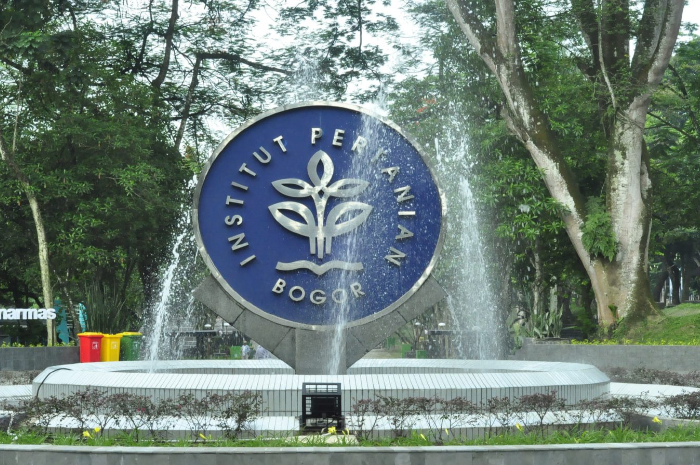 Mengalami Kenaikan Jumlah Pendaftar di SNBP 2025, Berikut Daftar Prodi Terketat dan Terfavorit IPB University
