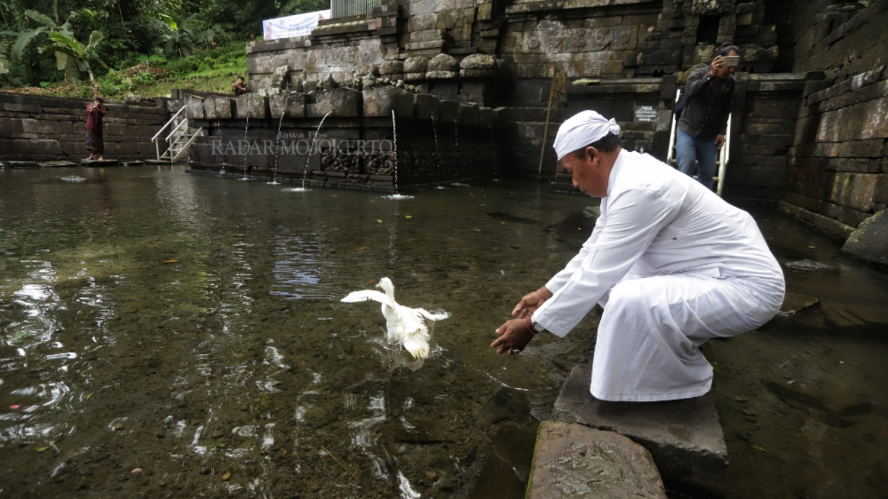SAKRAL: Pendeta Hindu melarung itik putih di kolam Patirtaan Jolotundo, Kecamatan Trawas, Kabupaten Mojokerto, Minggu (23/3).