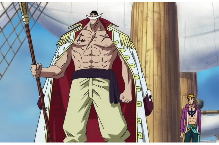 Pria Terkuat Di One Piece, 5 Fakta Tentang Shirohige SUMBER FOTO: Dunia Games
