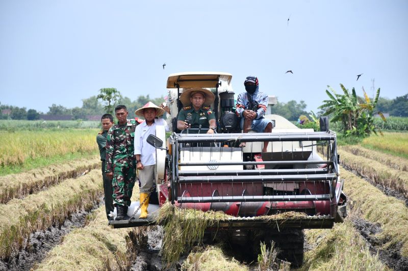 LAMPAUI TARGET: Pinca BULOG Mojokerto Muhammad Husin bersama Dandim 0815 Mojokerto Letkol Inf Rully Noriza berkolaborasi melakukan penyerapan gabah milik petani di wilayah Mojokerto.