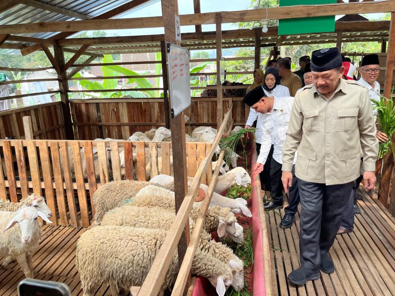 BERDAYAKAN WARGA: Kandang komunal kelompok Balai Ternak Gembala Sejahtera di Desa Tamiajeng, Kecamatan Trawas, hasil bantuan Baznas yang diresmikan, Selasa (29/4) lalu.