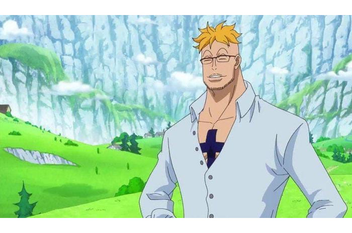 Fakta Fakta Menarik tentang Marco One Piece Sang Sekarang Menjadi Dokter SUMBER FOTO: Duniaku.com