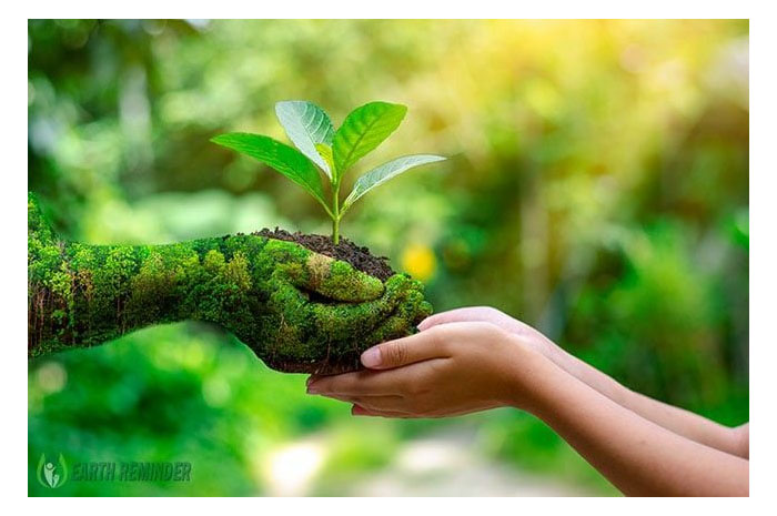 Sustainable Living: Tren Gaya Hidup Mengurangi Dampak Negatif dan Pelestarian Pada Alam