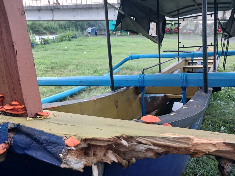 TAK TERAWAT: Deretan perahu di kawasan TBM, Kecamatan Prajurit Kulon, yang sebagian sudah mengalami kerusakan, kemarin (22/5).