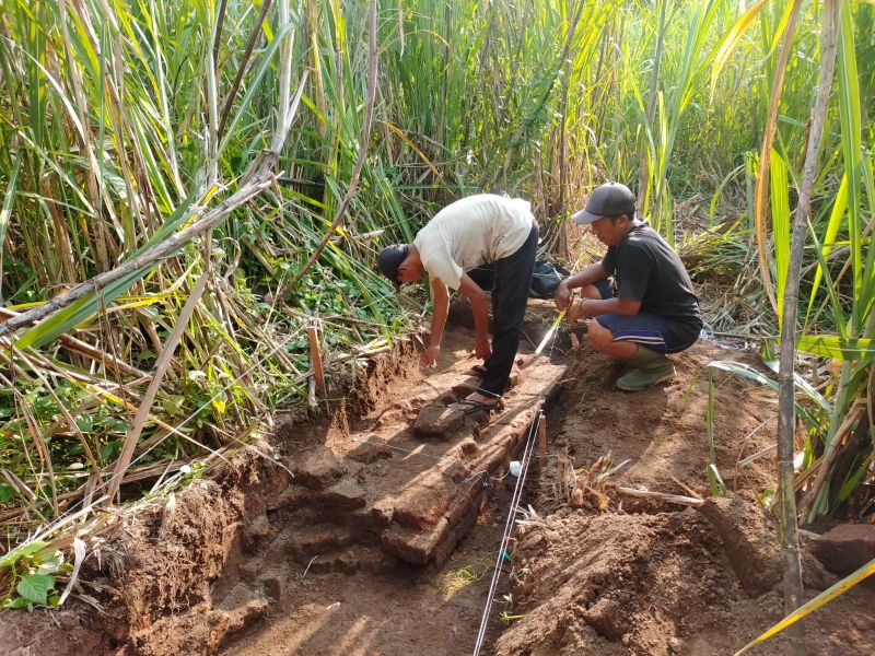 DI TENGAH KEBUN: Tim ekskavasi menampakkan susunan bata kuno di tengah kebun tebu sisi tenggara Situs Candi Brahu, Desa Bejijong, Kecamatan Trowulan.