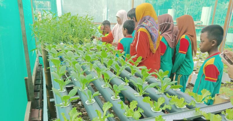 BERKEBUN: Siswa SDN Sumolawang, Kecamatan Puri, didampingi guru memanfaatkan lahan sisa di sekolah yang disulap menjadi green house.