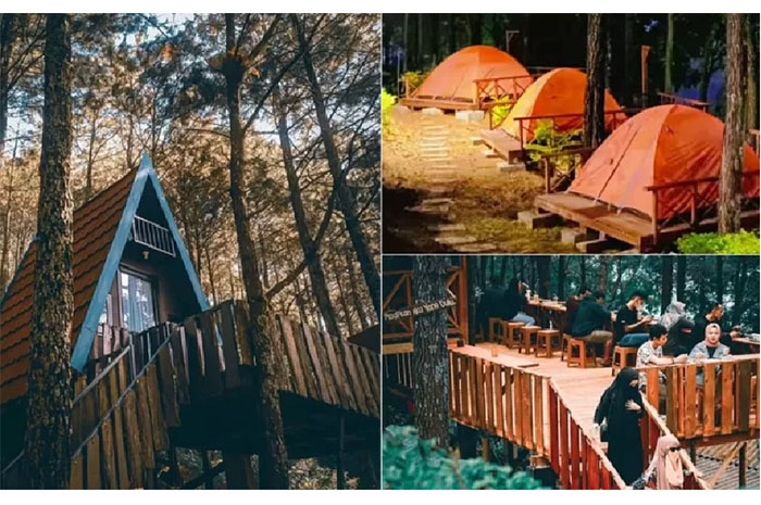 Penginapan untuk staycation ala perkemahan dan rumah pohon