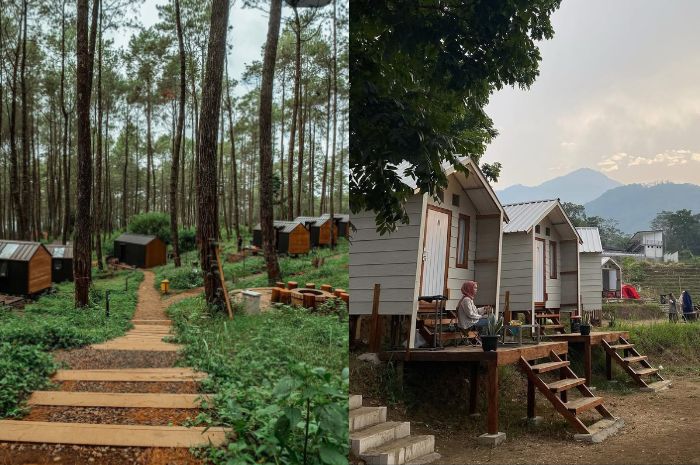 Kolase Foto Glamping di Trawas. (instagram/bobocabin dan instagram/suwon_camp)