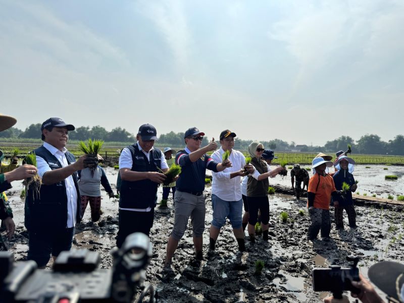 SWASEMBADA PANGAN: Wamen BUMN Kartika Wirjoatmodjo bersama Wakil Bupati Muhammad Rizal Octavian, Dandim 0815 Mojokerto Letkol Inf Rully Noriza, dan para stakeholder menanam padi bersama para petani.