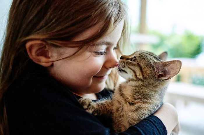 Mitos atau Fakta: Semakin Lama Dipelihara, Sifat Kucing Semakin Mirip dengan Pemiliknya
