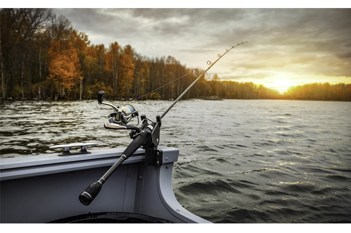 Cara Mendapatkan Banyak Ikan saat Memancing bagi Pemula, Berikut Tips dan Triknya (pixabay.com/K_Malik)