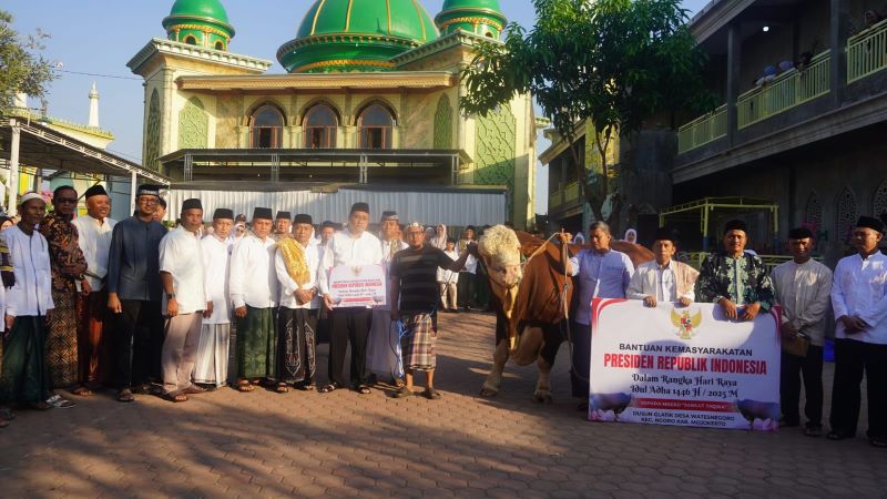 BANPRES: Wakil Bupati Mojokerto Muhammad Rizal Octavian menyerahkan sapi kurban jenis Simmental Cross berbobot 1,1 ton bantuan dari Presiden Prabowo Subianto.&nbsp;