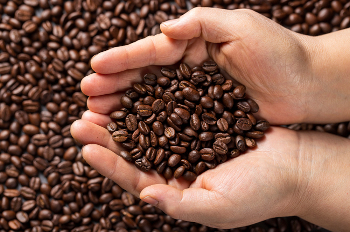 Perbedaan Kopi Arabika dan Robusta! Mana yang Lebih Aman untuk Lambung? (sumber: Freepik)