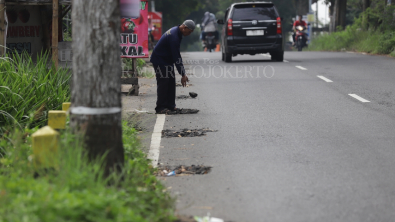 SWADAYA: Darman, 70, penjual stroberi menambal lubang bekas galian pencurian kabel yang membahayakan pengguna Jalan Raya Pacet-Gondang, Kabupaten Mojokerto, Kamis (19/6).