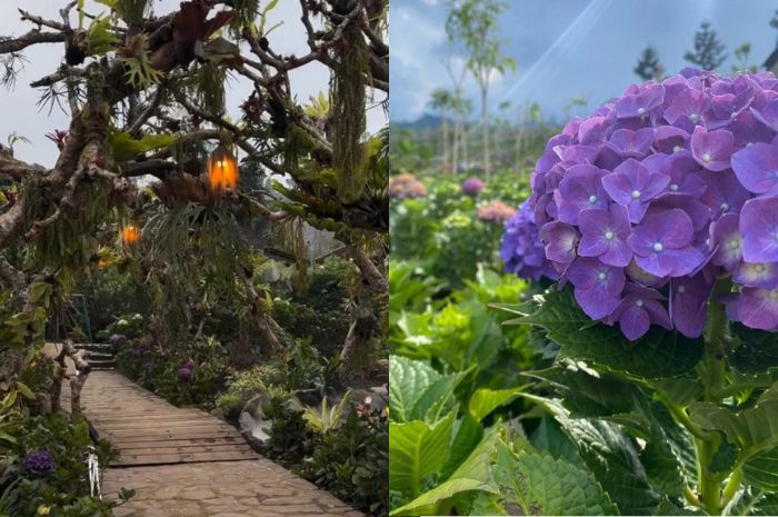 Viral Seperti di Negeri Dongeng, Wisata Dusun Kuliner Memikat Pencari Foto Estetik dengan Keindahannya. (instagram/wisatadusunkuliner)