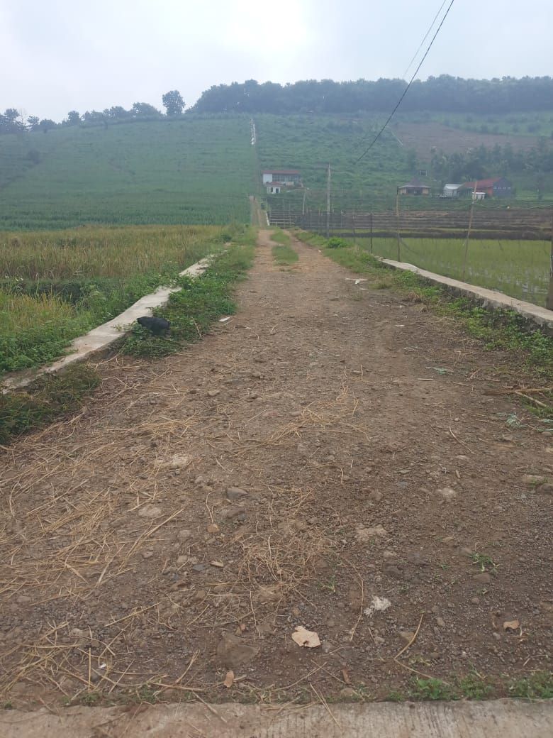 DIDUGA FIKTIF: Pembangunan jalan usaha tani di Desa Sumberjati, Kecamatan Jatirejo yang diduga fiktif.