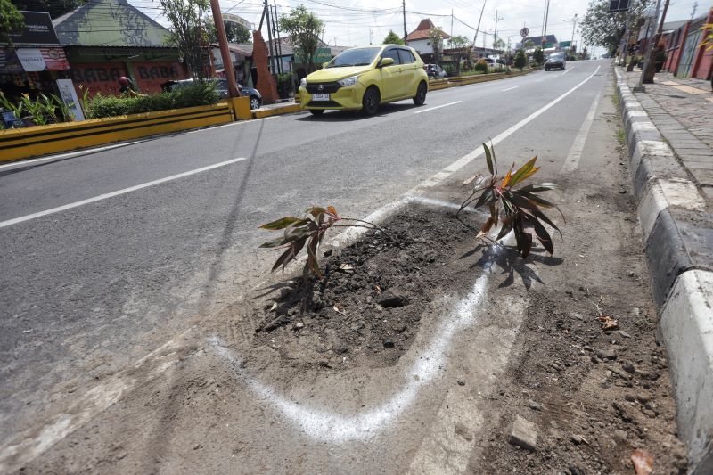 DITANAMI BUNGA: Bekas pekerjaan galian di ruas Jalan Pahlawan, Kota Mojokerto yang terpasang batang tanaman tanpa dilengkapi penanda atau rambu peringatan.