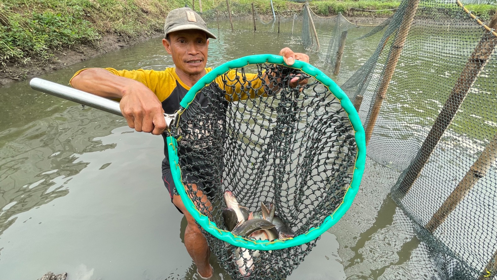 MENGHASILKAN: Warga menunjukkan hasil panen ikan patin yang dikelola BUMDes Kahuripan.
