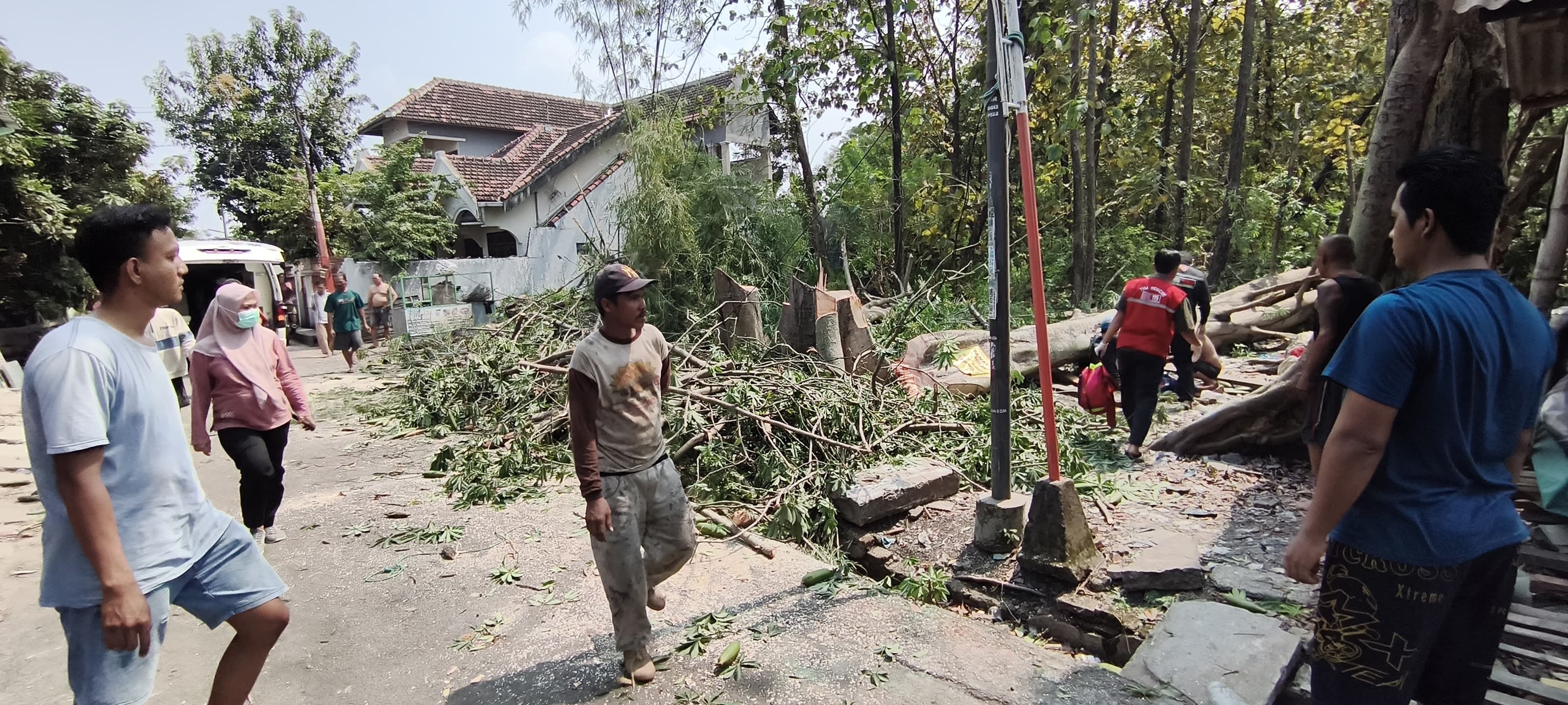 NAHAS: Seorang pekerja tewas saat menebang pohon randu di Lingkungan Kedungsari, Kelurahan Gunung Gedangan, Kecamatan Magersari, Kota Mojokerto, Minggu (27/7).