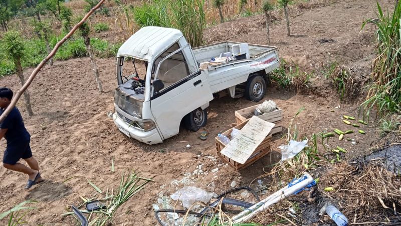 PENYOK: Kondisi pikap sayur usai terguling di kebun kayu putih Desa Gunungsari, Kecamatan Dawarblandong, Kabupaten Mojokerto, Minggu (10/8).