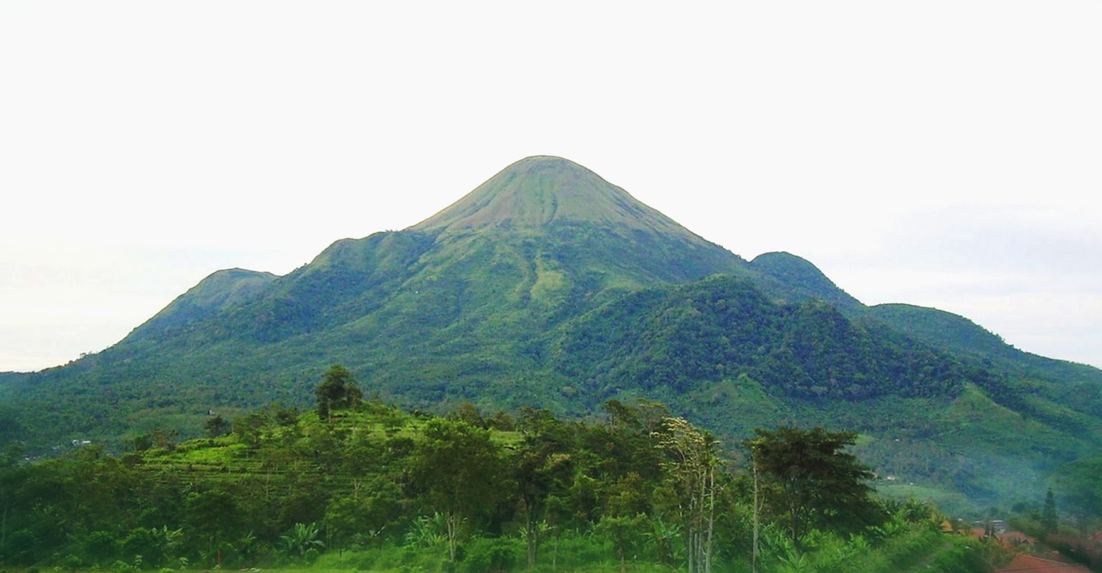 5 gunung di Mojokerto yang cocok untuk pendaki pemula.