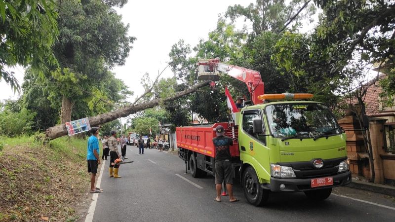 TUTUP JALAN: Petugas gabungan mengevakuasi pohon tumbang di Jalan Watudakon, Pulorejo, Kecamatan Prajurit Kulon, kemarin (19/8).