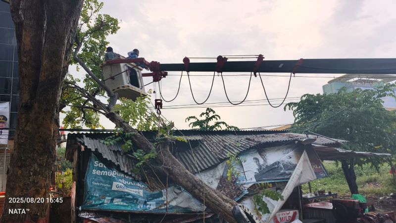 TIMPA WARUNG: Petugas menangani pohon tumbang di Jalan Benteng Pancasila, Kota Mojokerto, kemarin (20/8).