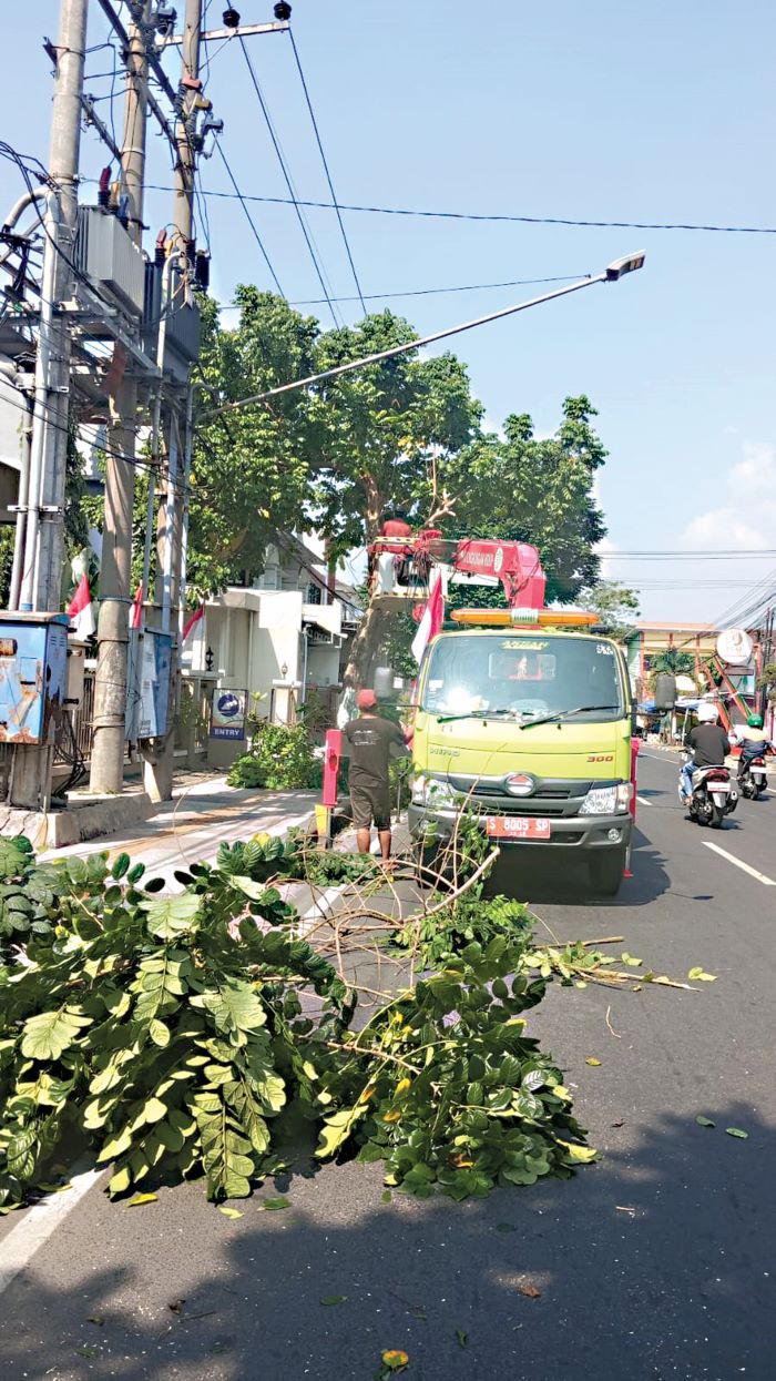 DIRAMPINGKAN: Petugas DLH Kota Mojokerto memangkas pohon di Jalan Raden Wijaya, kemarin (21/8).